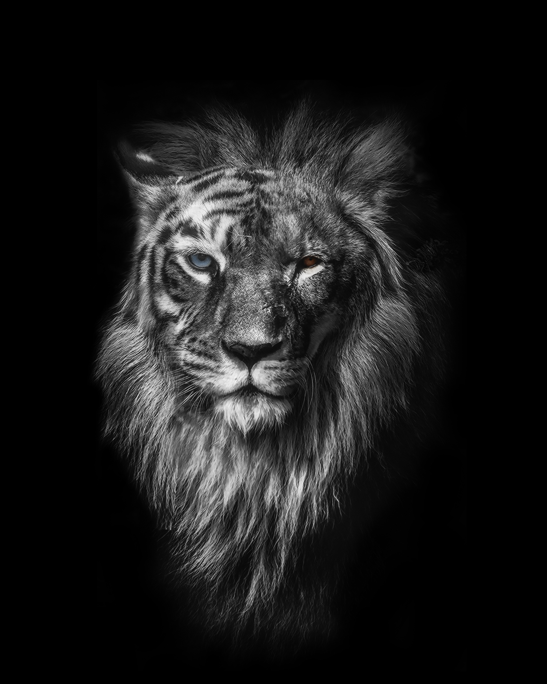 Ujval Pasupuleti – Wildlife Nature & Portrait Photography Logo
